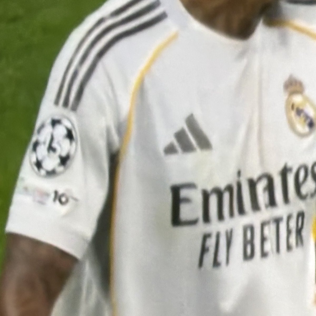 PALMEIRAS HQ tweet media