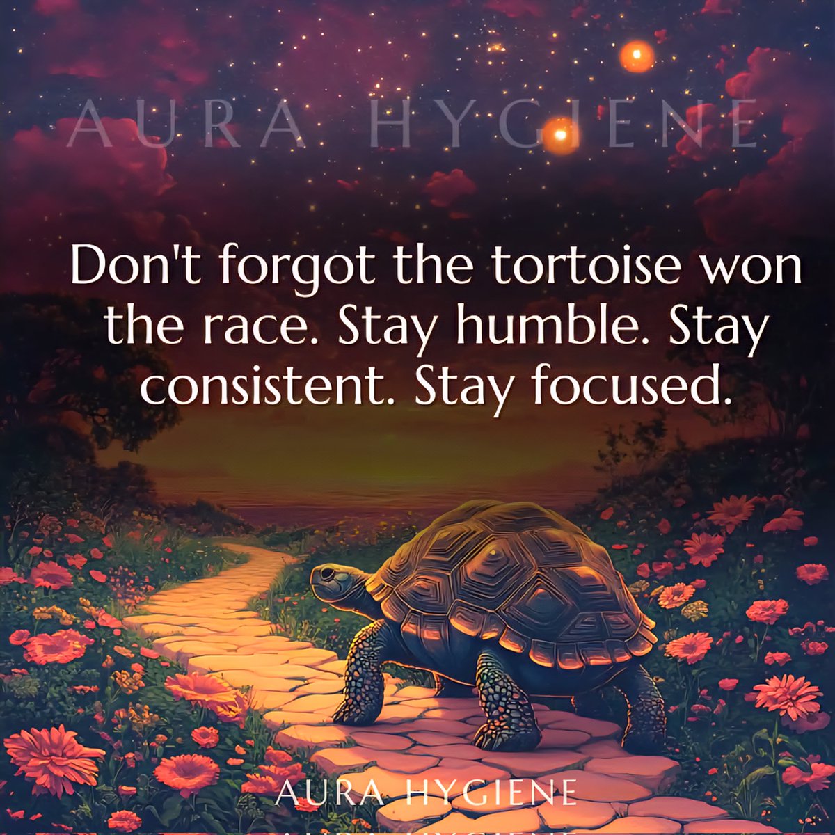 🐢