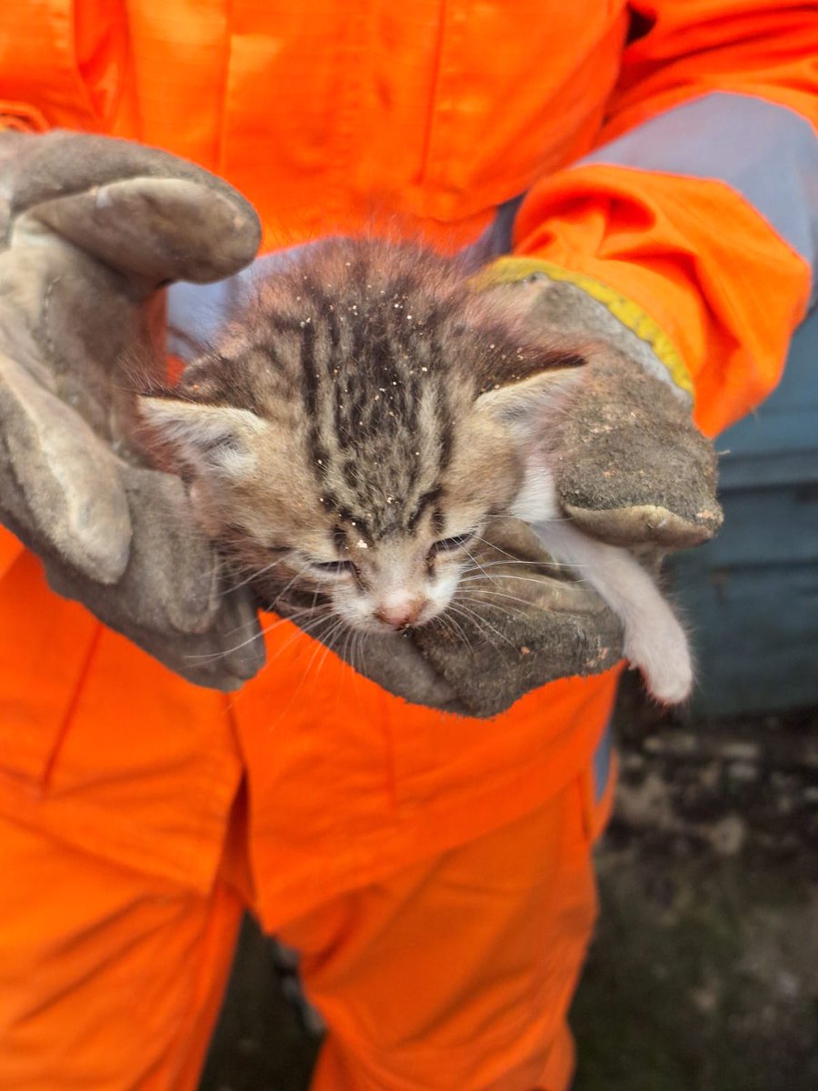 Bombeiros_MG tweet media