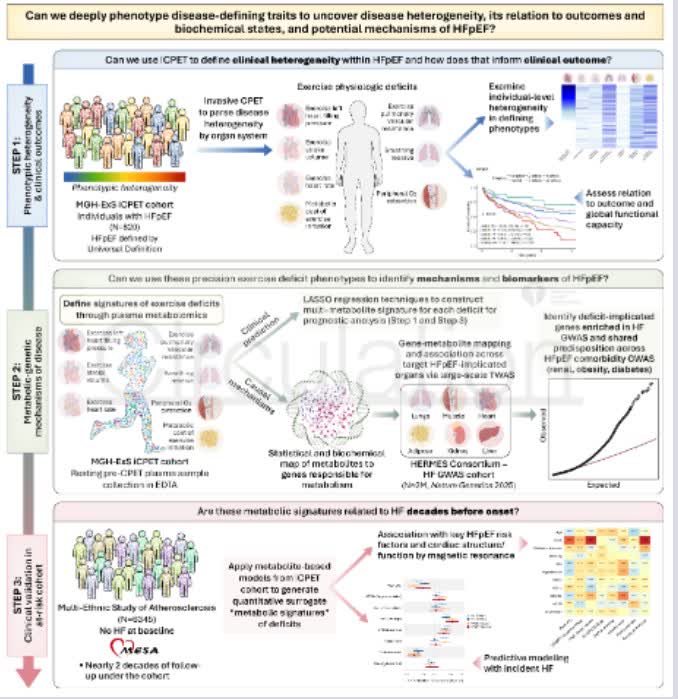 Circulation tweet media
