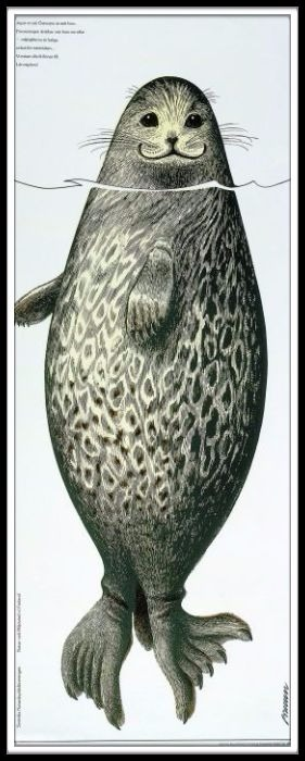 Regina Bauer 🇪🇪🇺🇦 tweet media