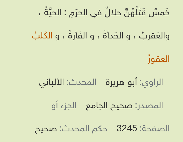 محمد 🇸🇦 tweet media