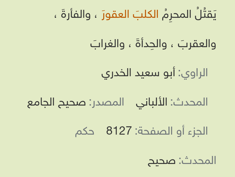 محمد 🇸🇦 tweet media