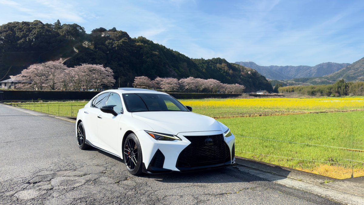 🍀ストライダ−.com🍀 tweet media