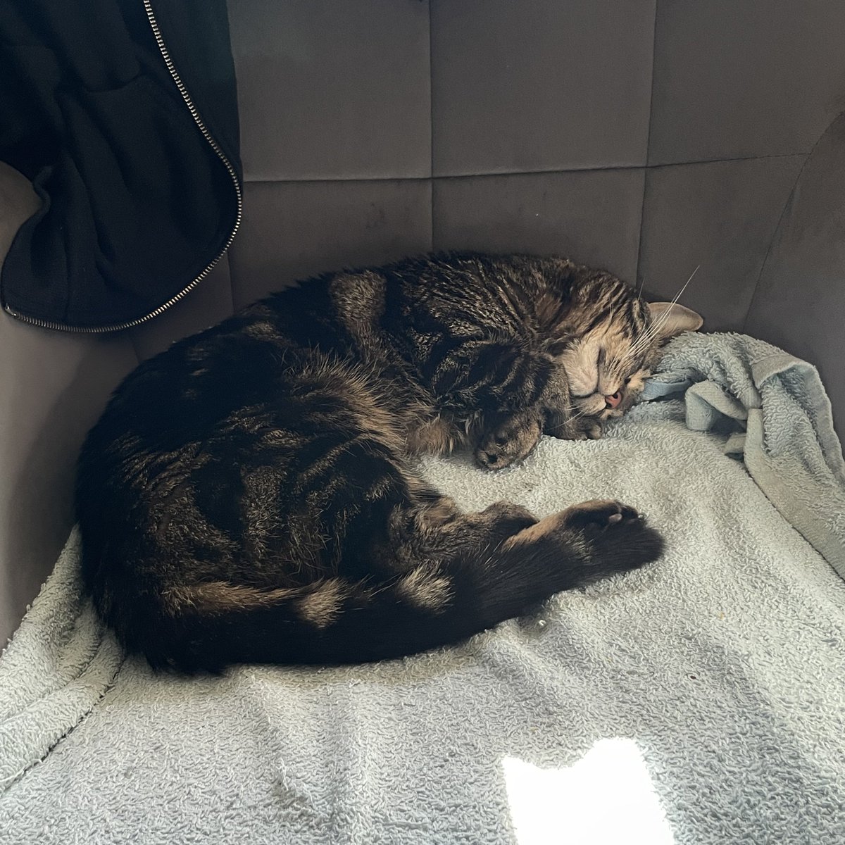 mara 🇵🇸 tweet media