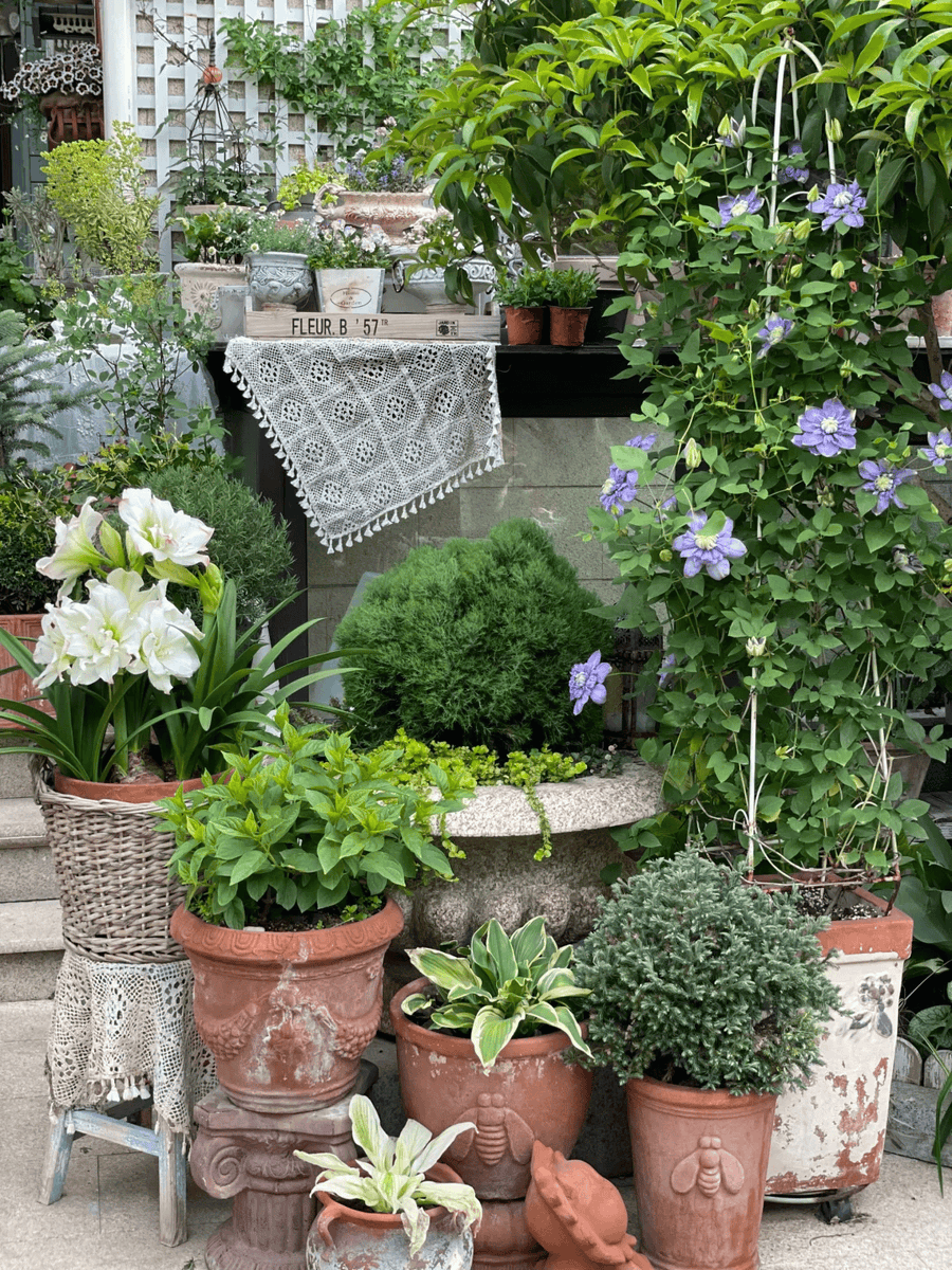 Lanre Jermaine A tweet media