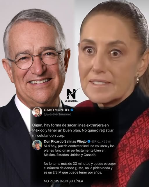 cottylu tweet media