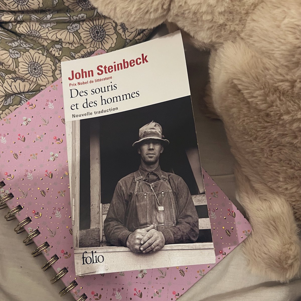 sabr٠acadabra tweet media