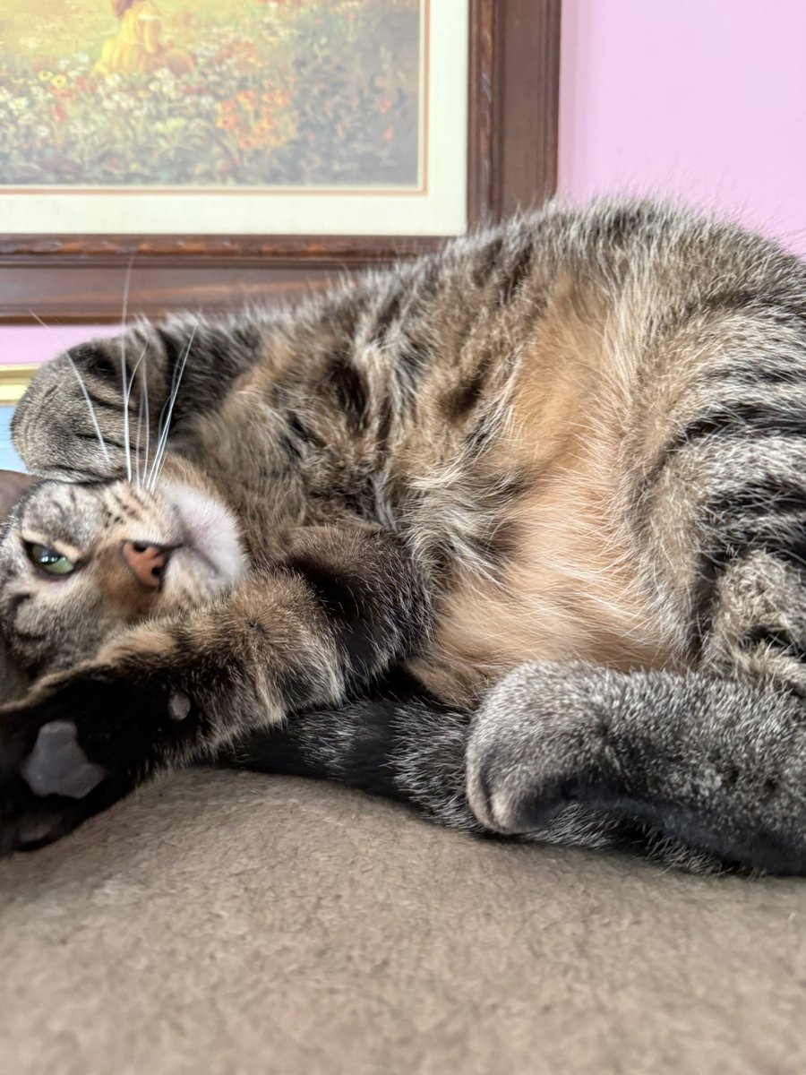 samantha is a girl so in love ❥ 🐾💋🪩 tweet media