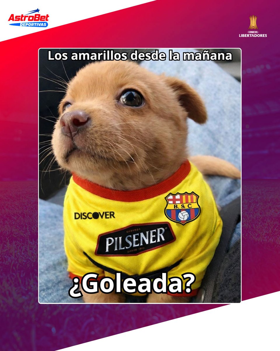 ¿Confías en la victoria torera? Pro-nos-tica en Astrobet.ec

#Astrobet #Ecuador #Libertadores