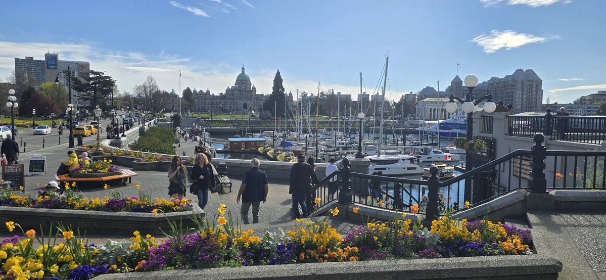 𝐄𝐫𝐟𝐚𝐧✰ tweet media