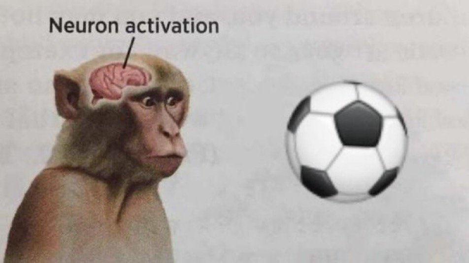 Peñargrol tweet media