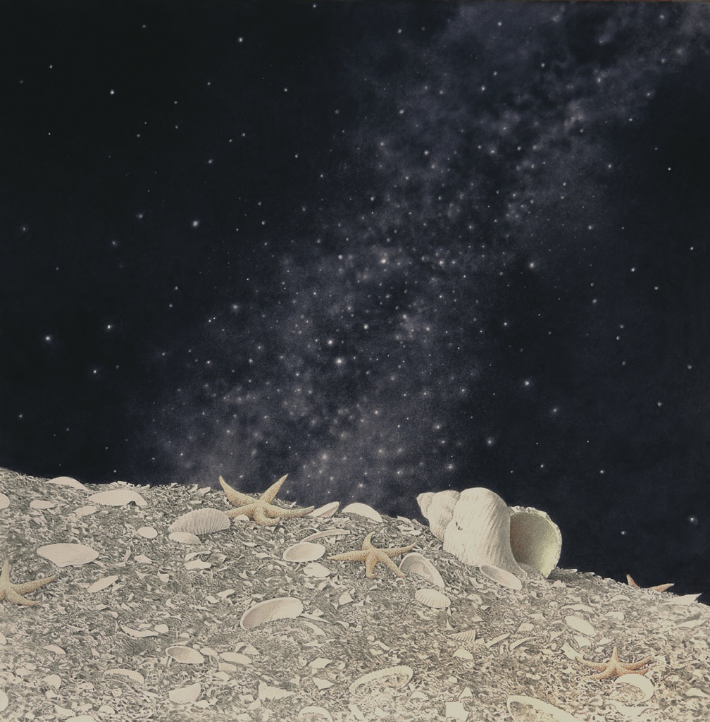 Nadine Mort tweet media