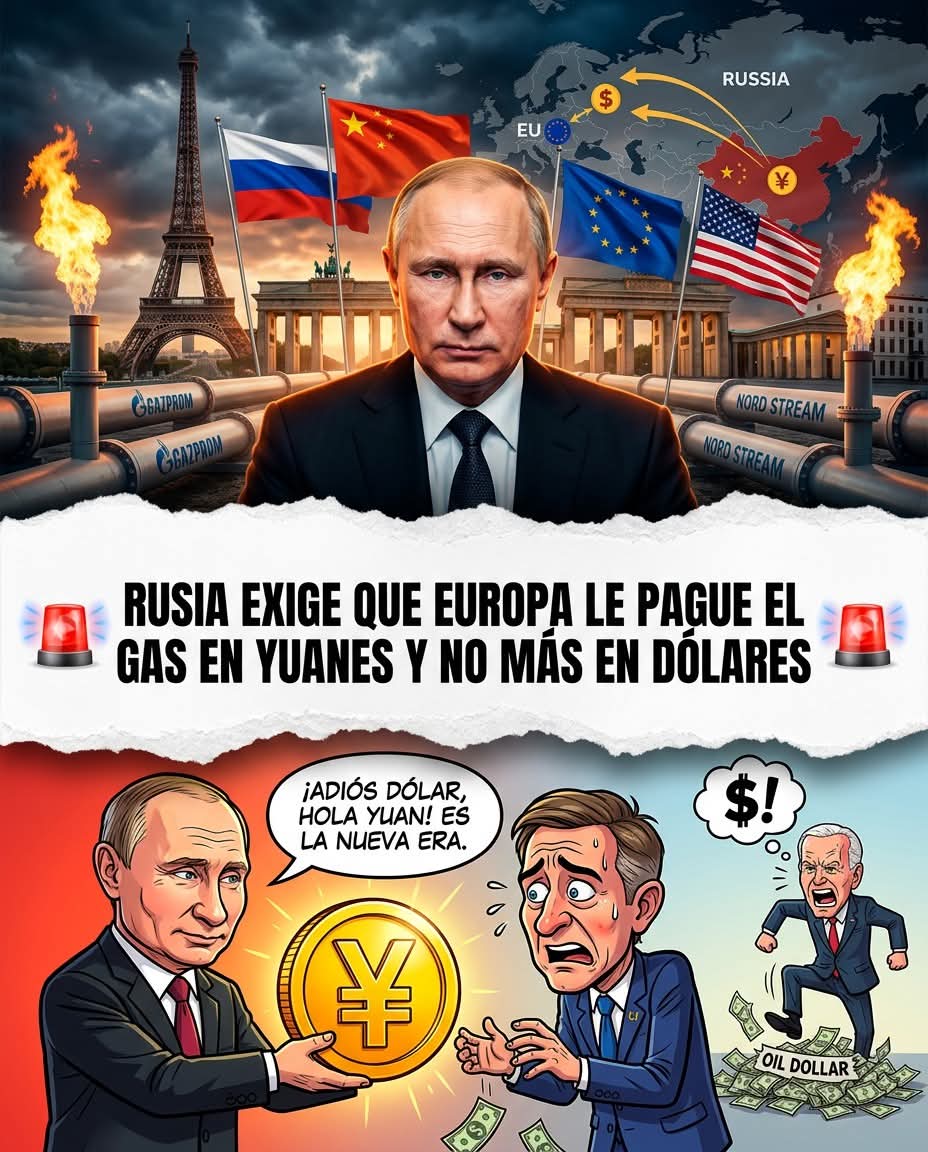 Karin Arcuschin tweet media