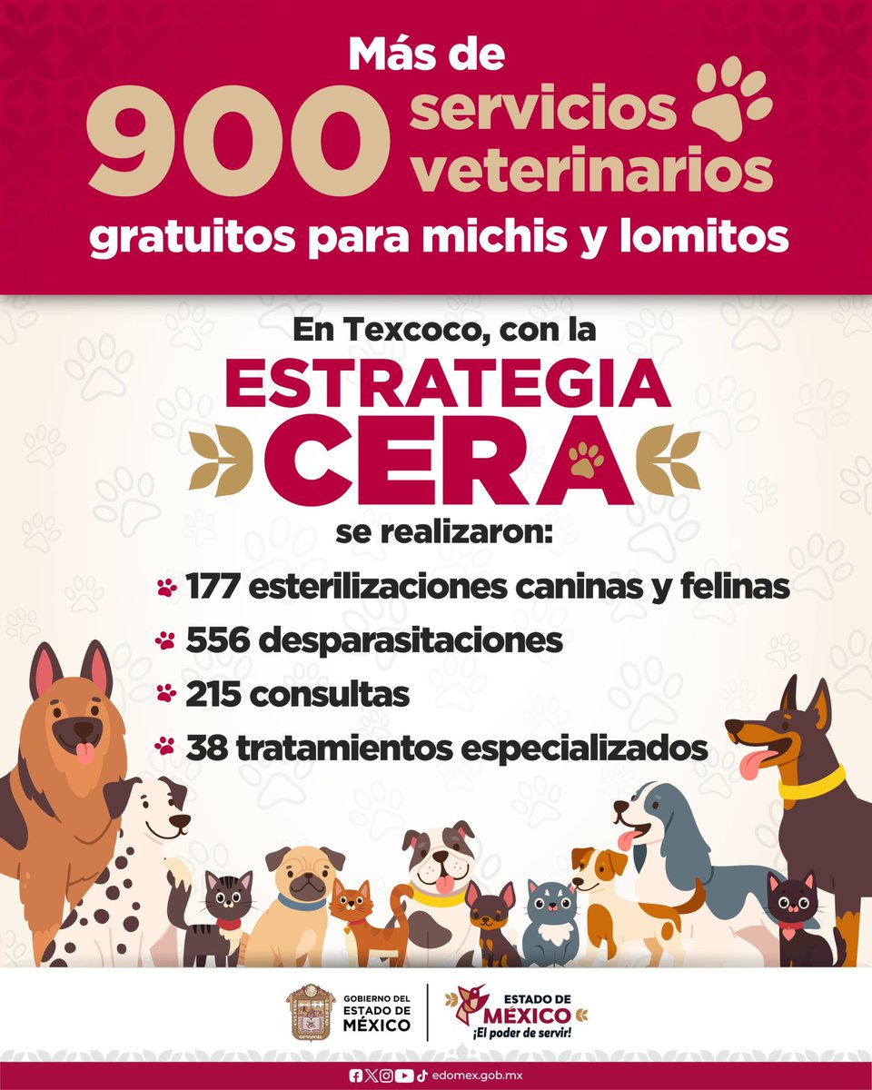 delfinagomeza's tweet image. 🐾 Con la #EstrategiaCERA, realizamos acciones para fomentar el #BienestarAnimal y atender la sobrepoblación de lomitos y michis.
#ElPoderDeServir