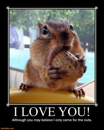 Mike Spilligan (RAF Retired) 🛠️✈️ Unvaxxed Legend tweet media