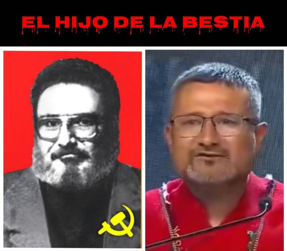 @ elpatriota tweet media