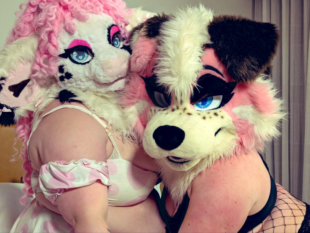 ✧•° Princess Puppy °•✧ tweet media