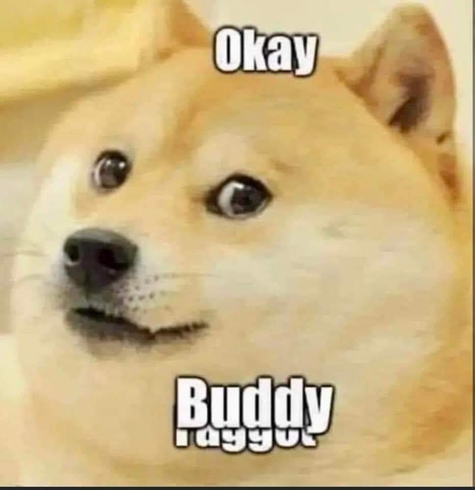 Mr. Piddles tweet media