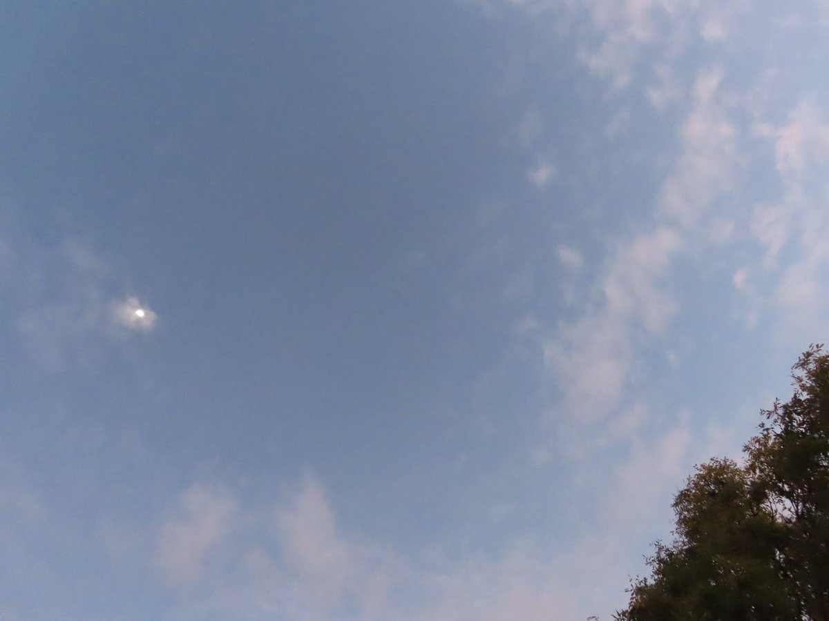 wapple15's tweet image. Good morning #Canberra 🌖⛅️