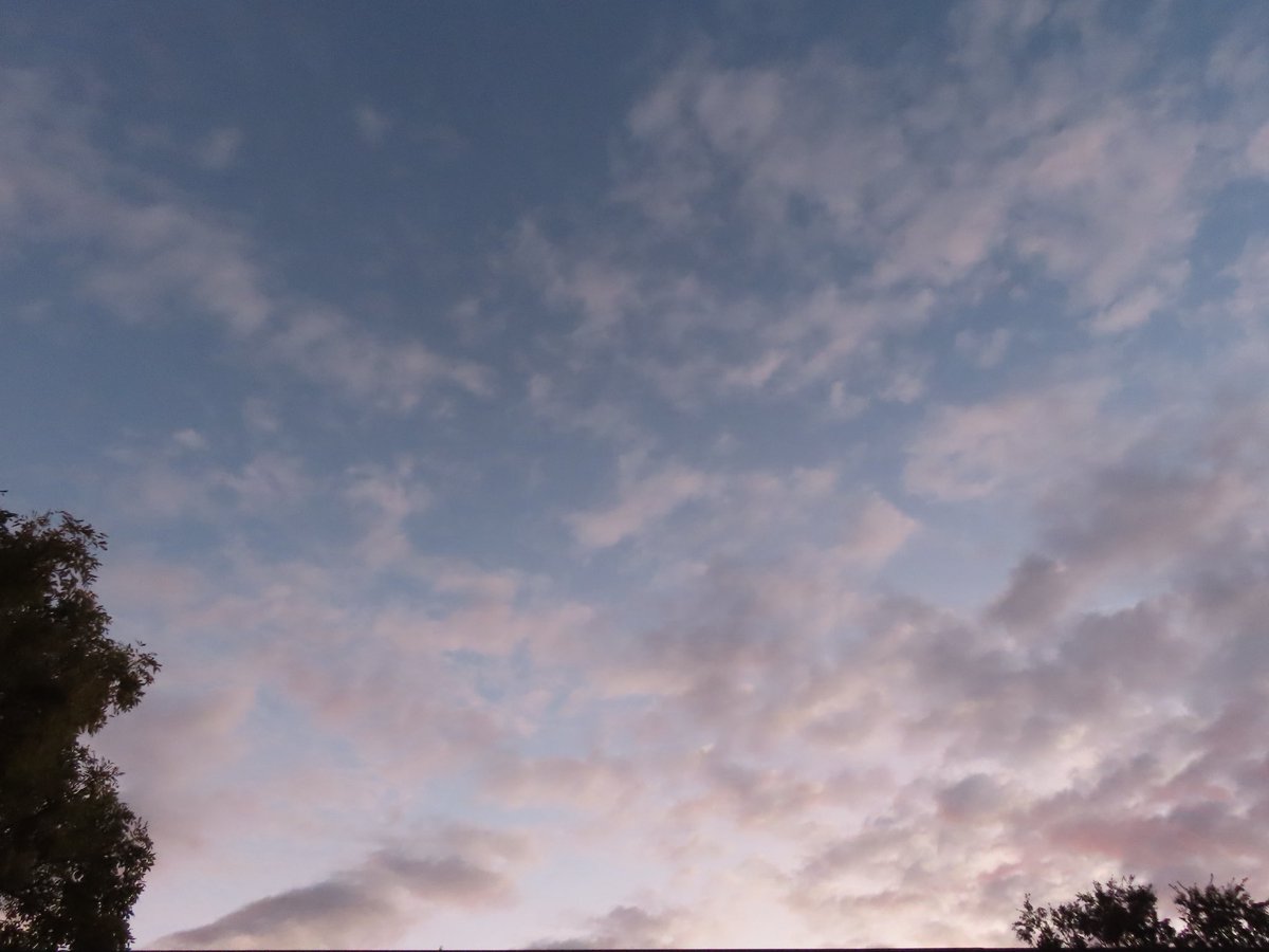 wapple15's tweet image. Good morning #Canberra 🌖⛅️