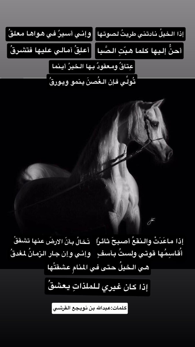 رحلات ونباتات (الطائف) (@taif2685) on Twitter photo 