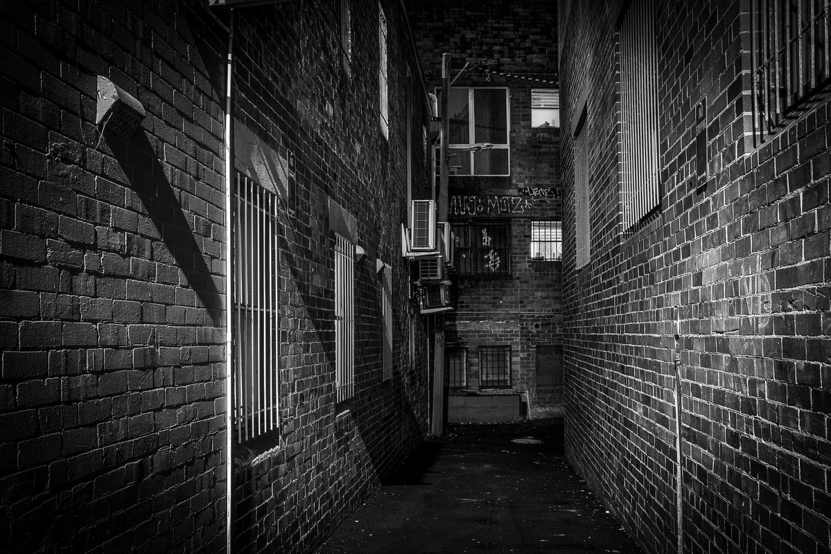 tim ritchie tweet media