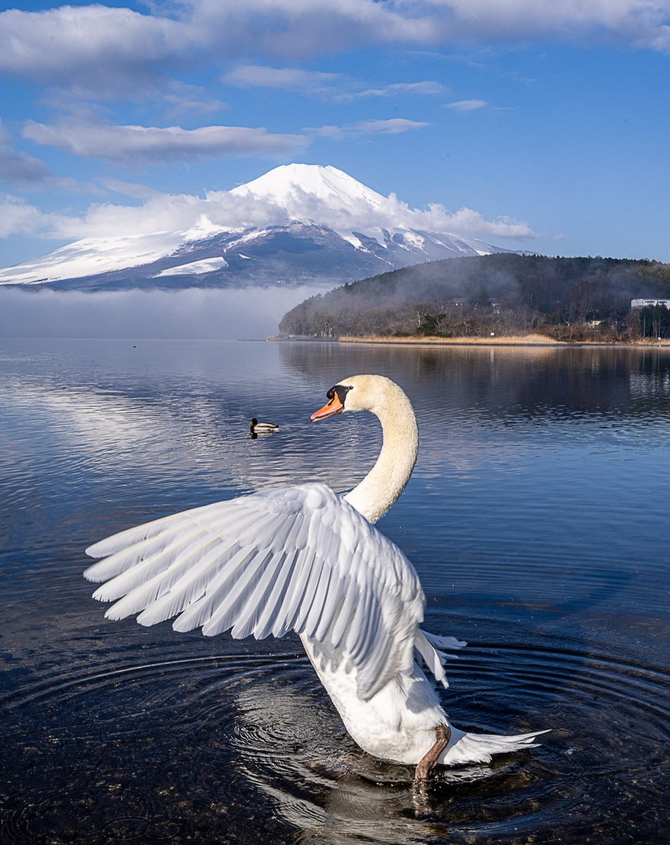 NATS AUDIO tweet media