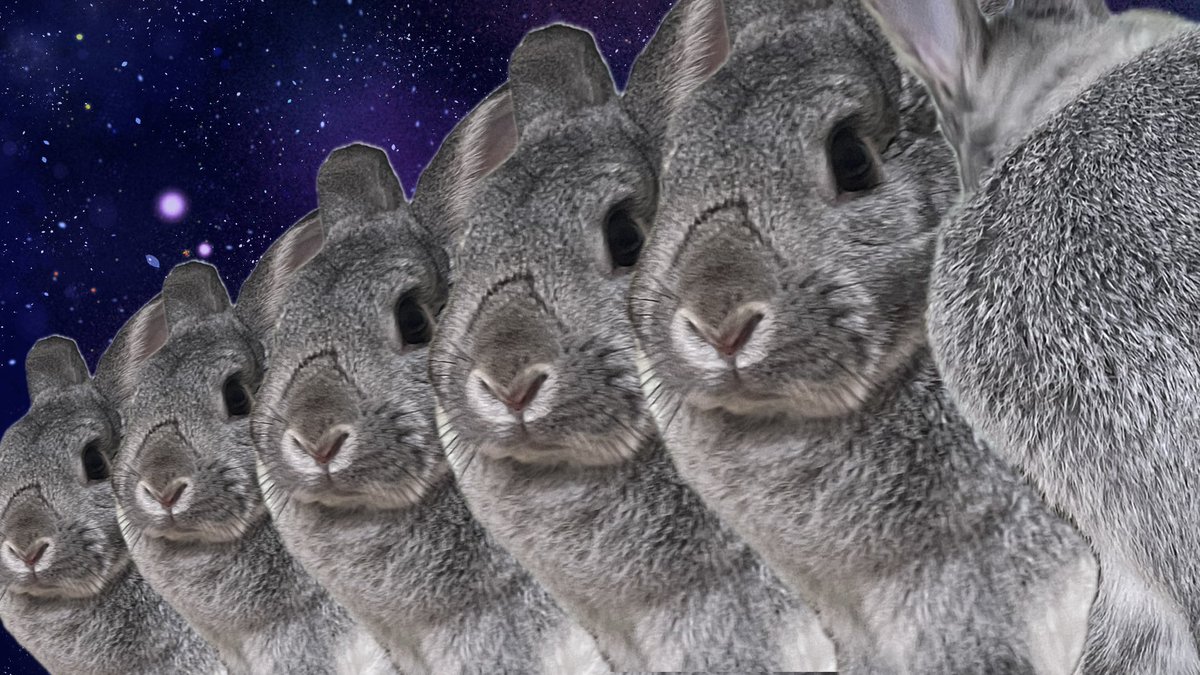 ほごうさちゃん tweet media