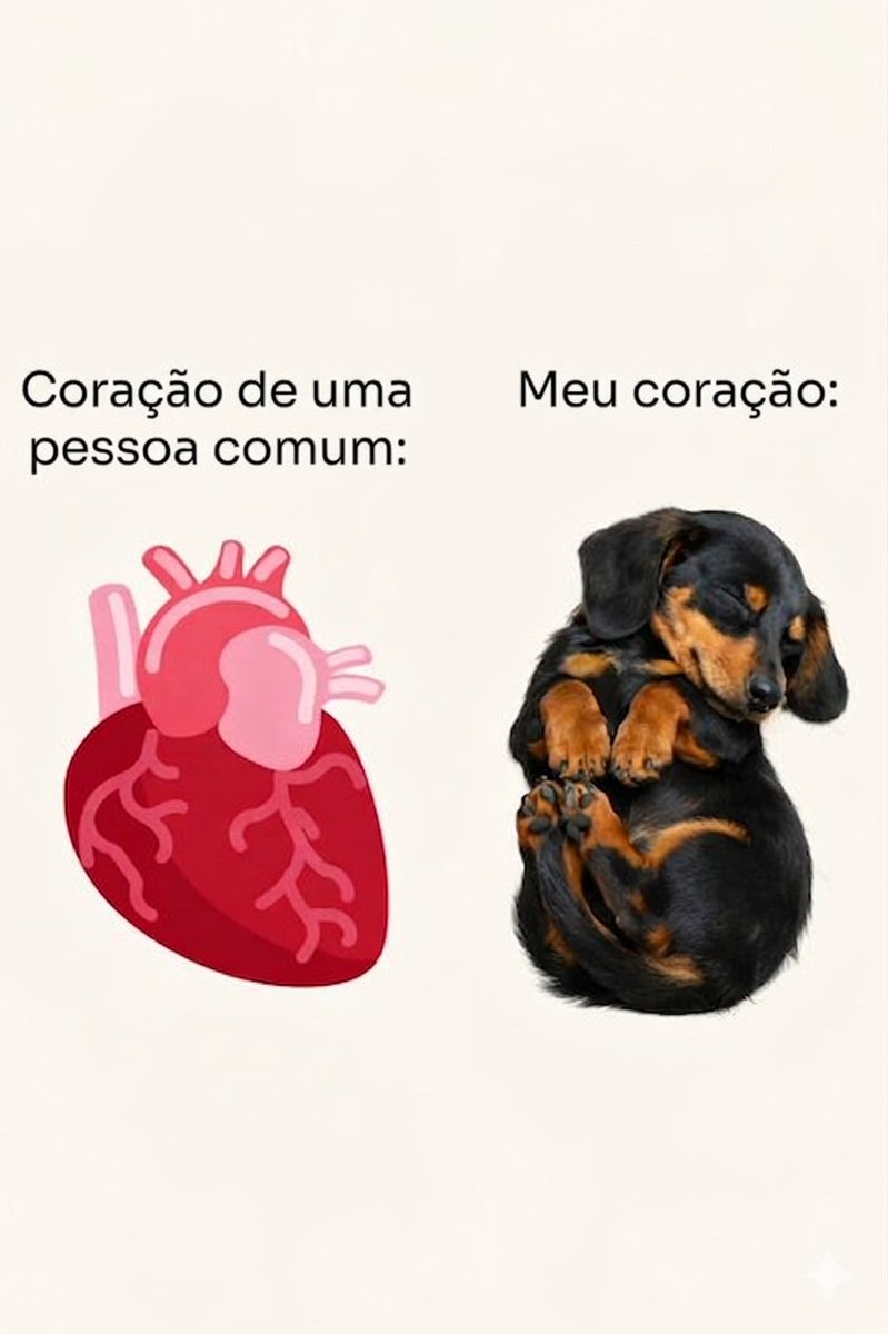Salsichinhas tweet media