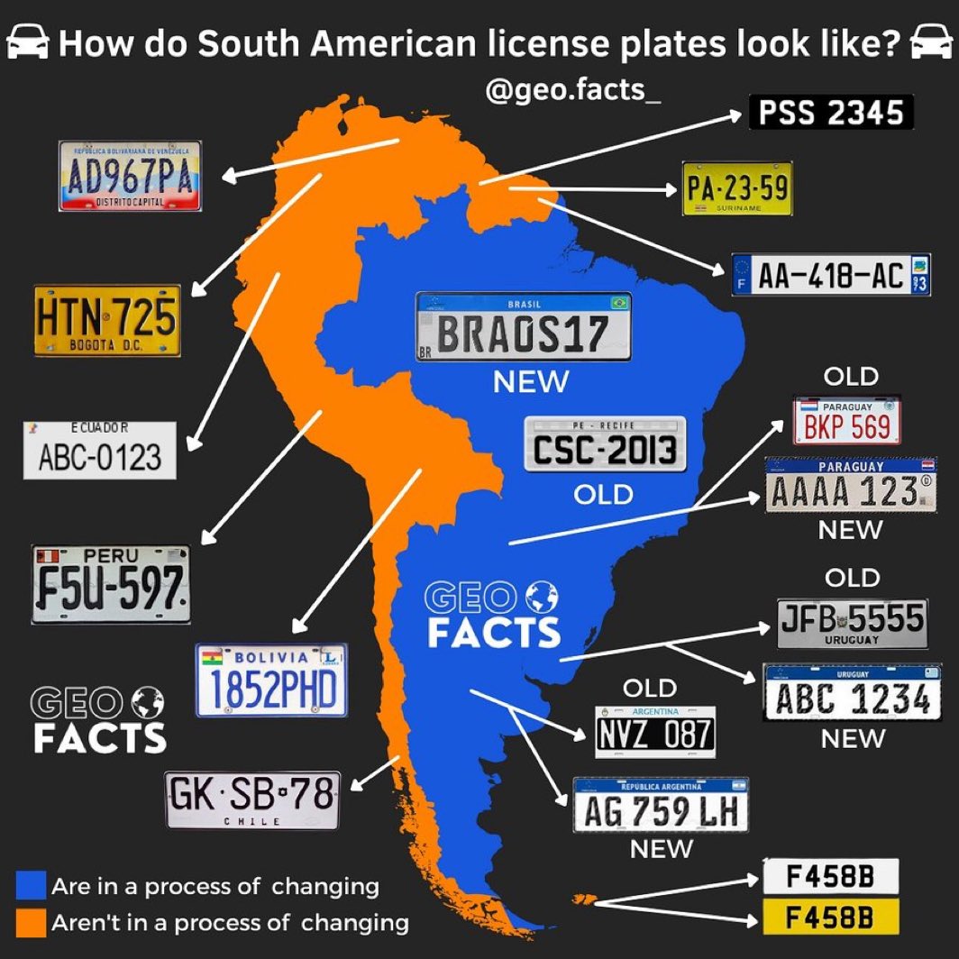 BowTiedMara tweet media