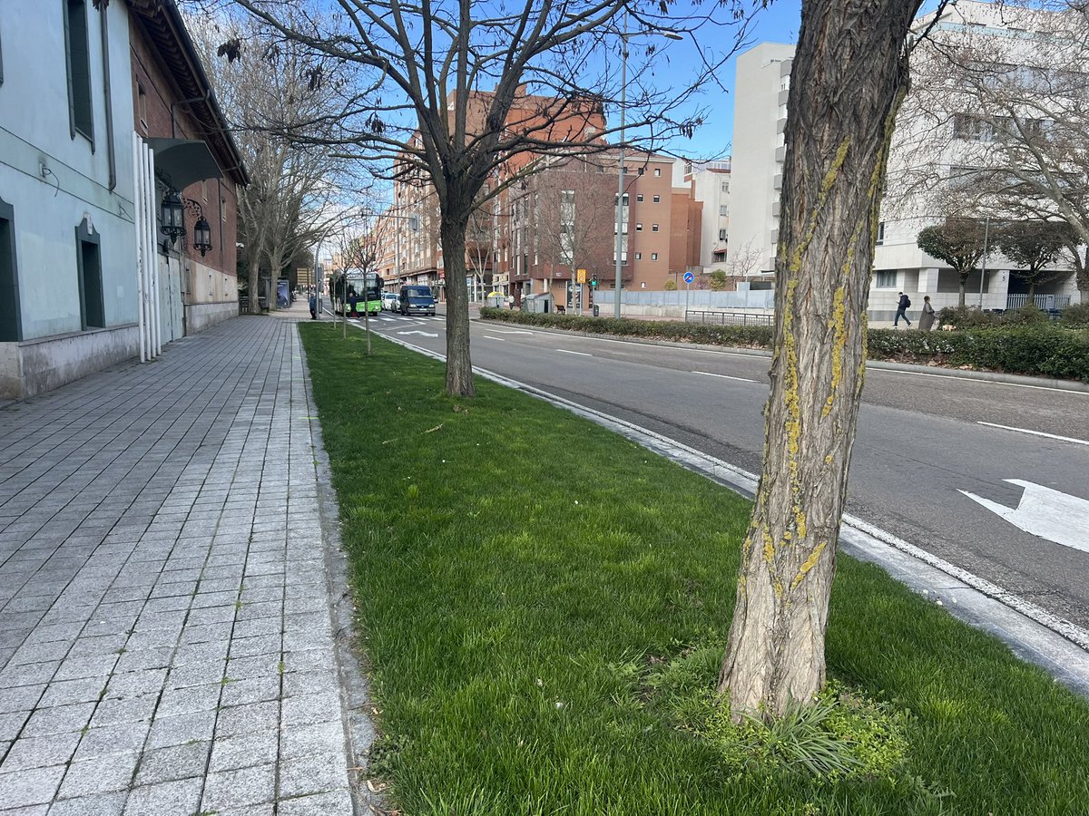 Luis Vélez tweet media