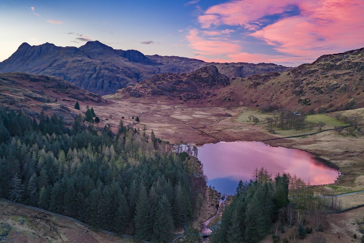 Jonny Gios tweet media