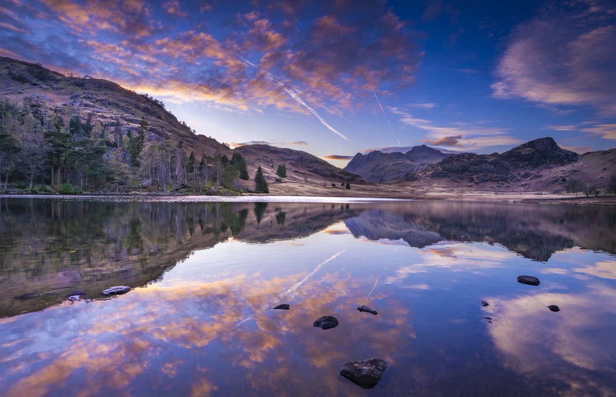 Jonny Gios tweet media