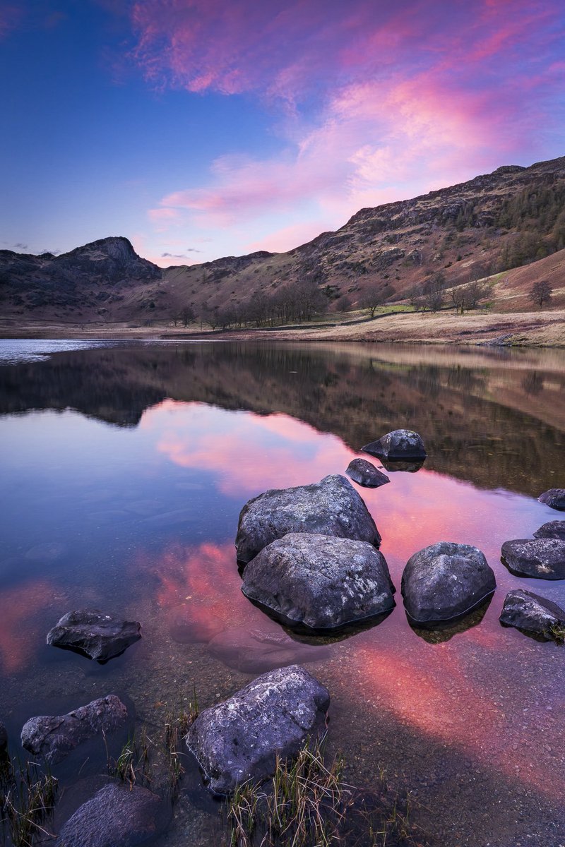 Jonny Gios tweet media