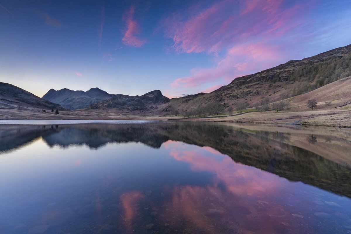 Jonny Gios tweet media