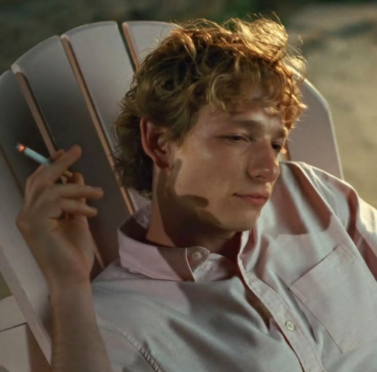 Pintassilgo tweet media