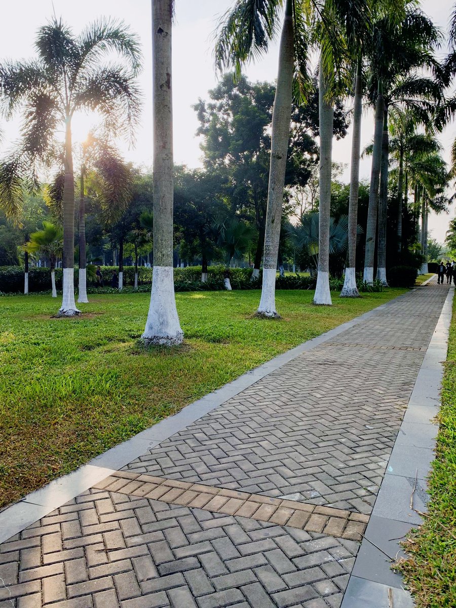 mohmd nour tweet media