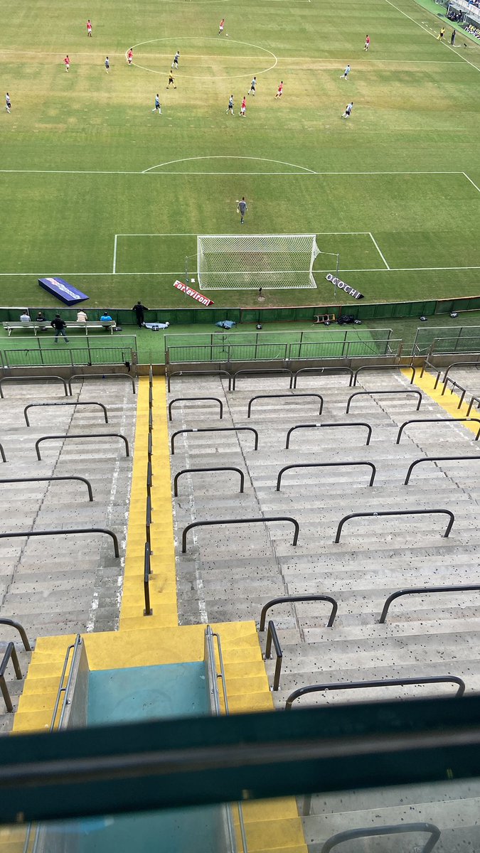 Cachorro Gremista🇪🇪 𓃥 tweet media