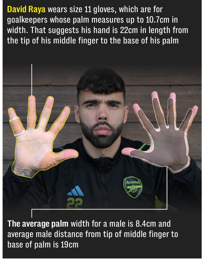 FUTEMENTALES tweet media