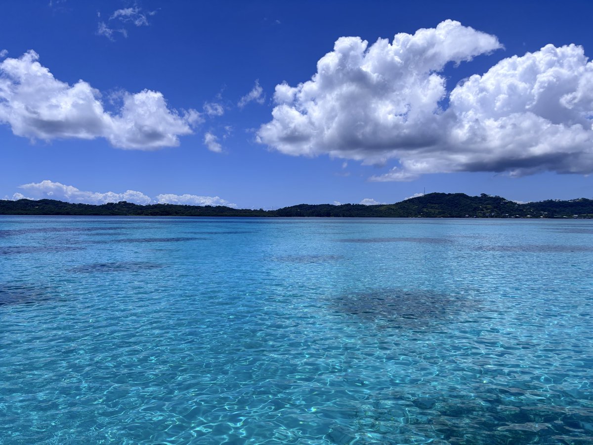 PolyLobby's tweet photo. Roatan, Honduras https://t.co/GgdbP7yiNa