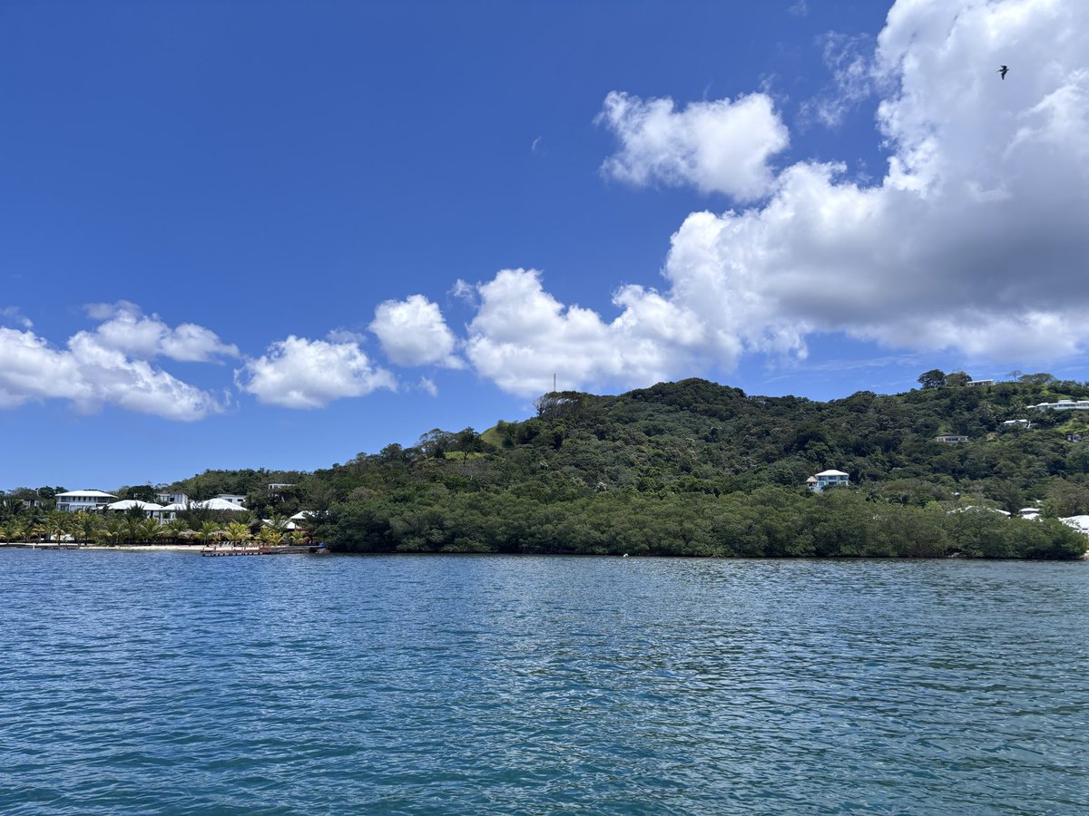 PolyLobby's tweet photo. Roatan, Honduras https://t.co/GgdbP7yiNa