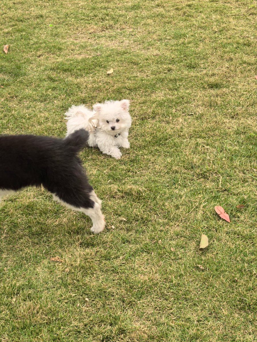 Mark Goodstein tweet media