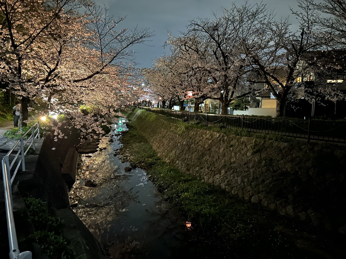 みーな tweet media