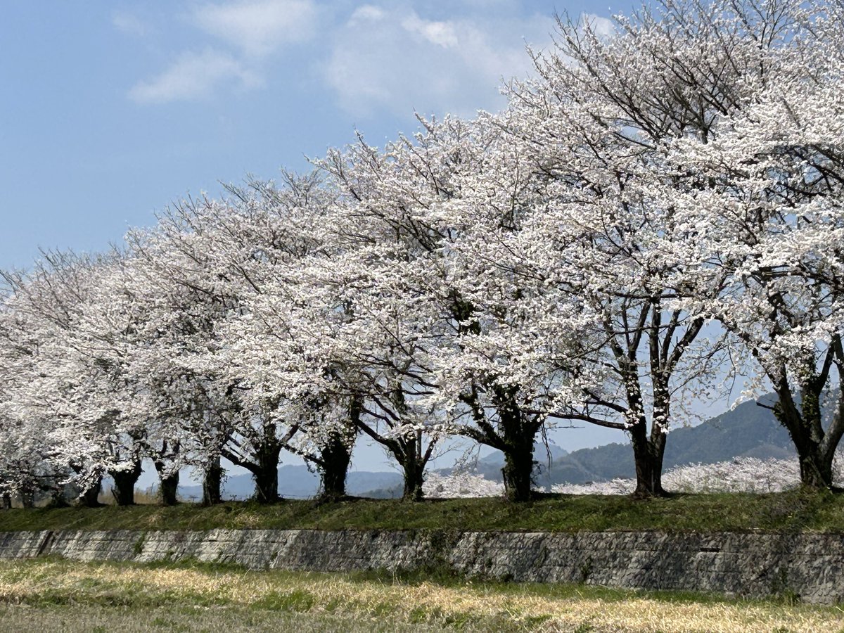 みーな tweet media