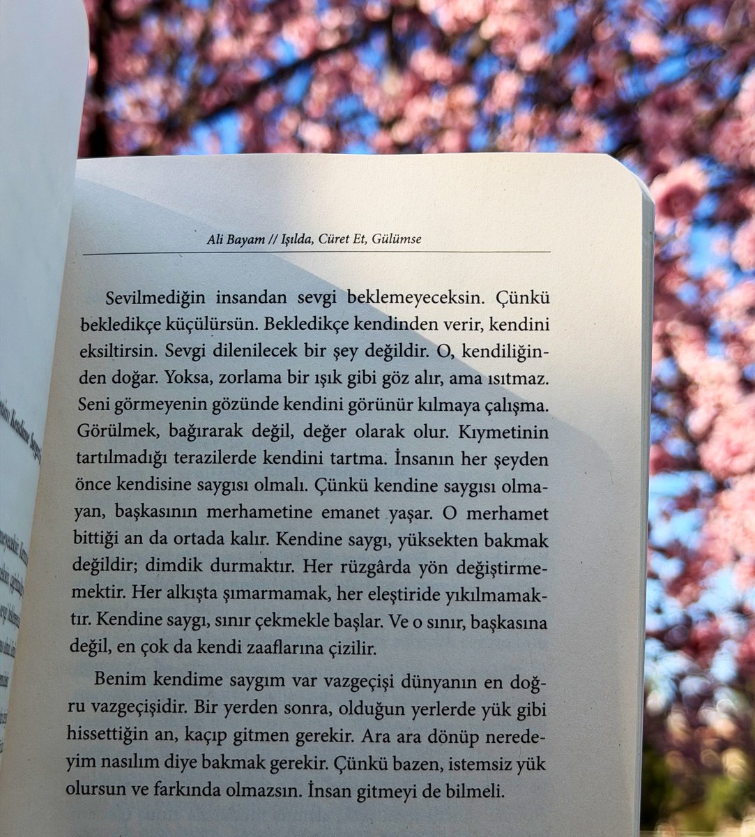 Sevgi dilenilecek bir şey değildir.