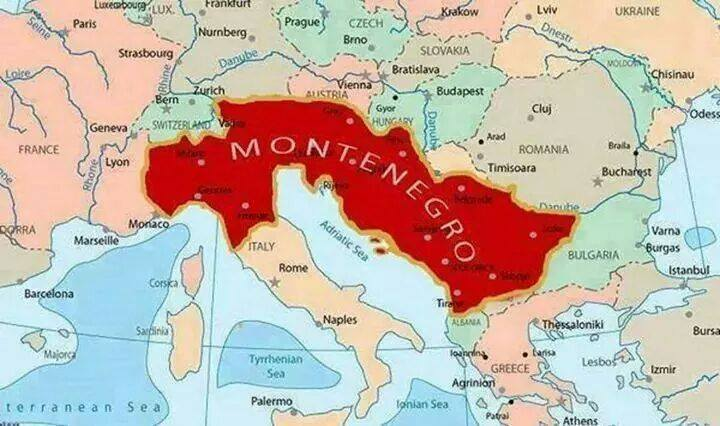 Καλός tweet media