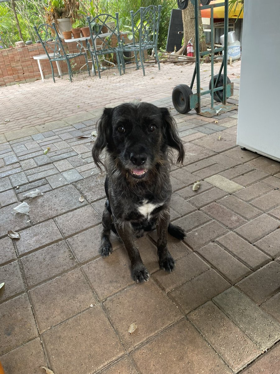 Mysticism tweet media