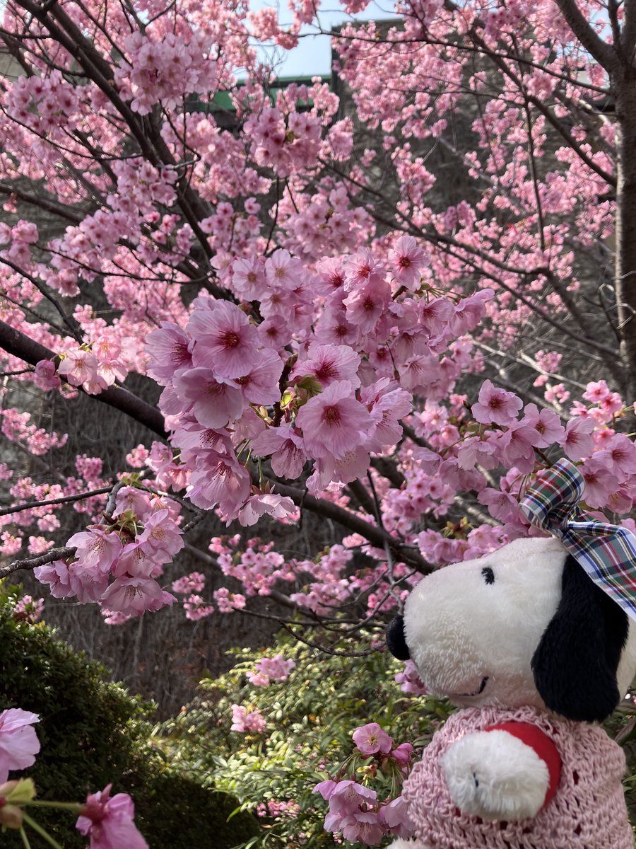 🐰べこ tweet media