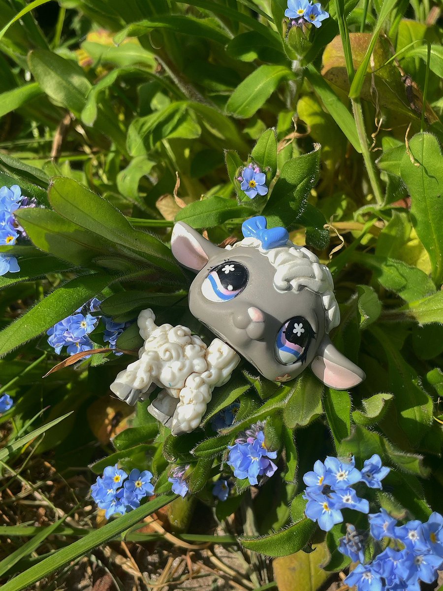 riverrcatt's tweet image. 🫐